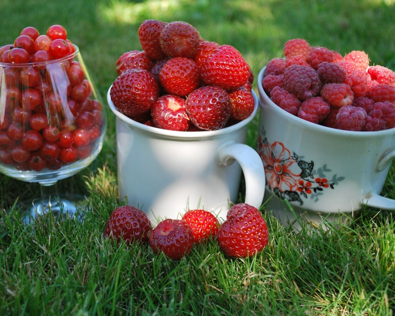 beeren beere obst himbeere süß gesund lebensmittel saftig diät schüssel lecker gesundheit frische erdbeere essen erfrischung lecker sommer fruchtig schließen aus holz