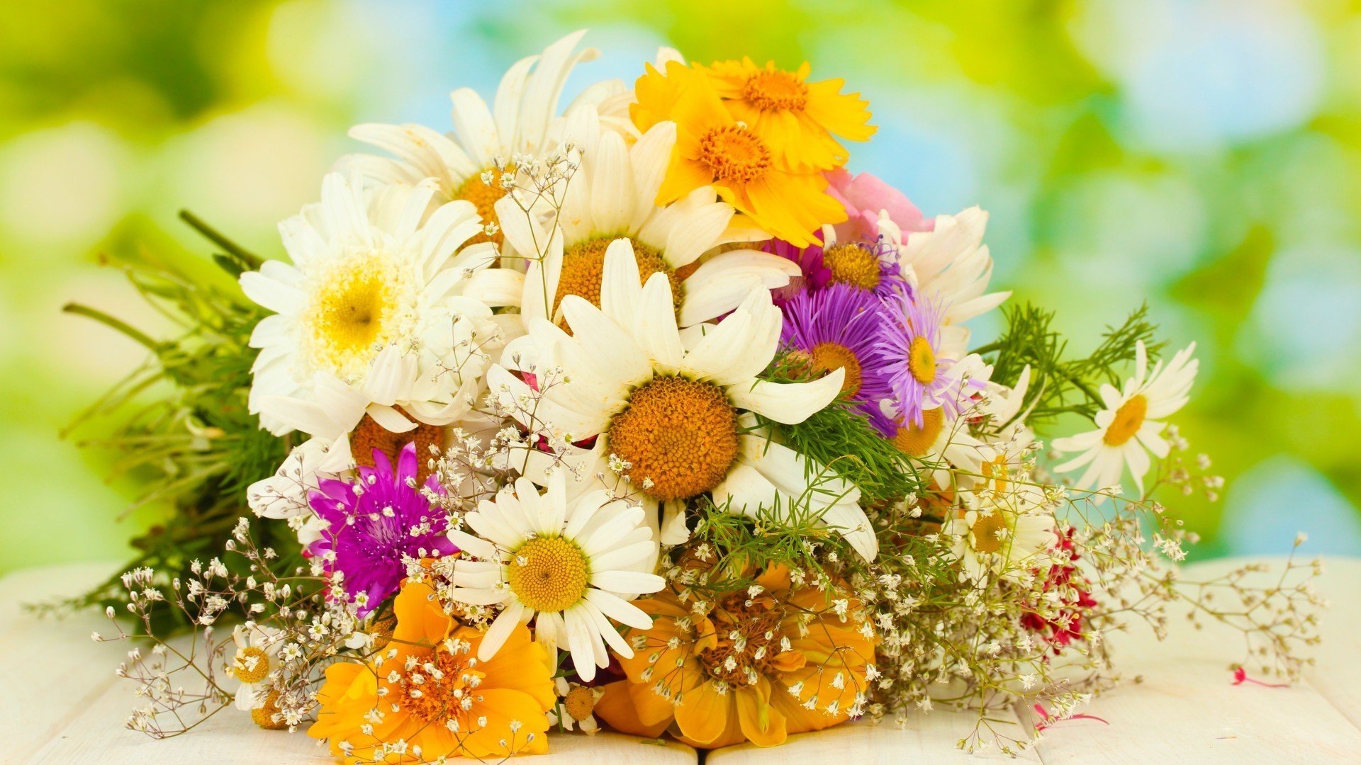 a bouquet of flowers flower nature bouquet leaf flora summer floral decoration bright petal blooming chamomile color beautiful cluster gift