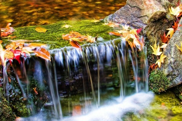 Маленький водоспад з осіннім листям