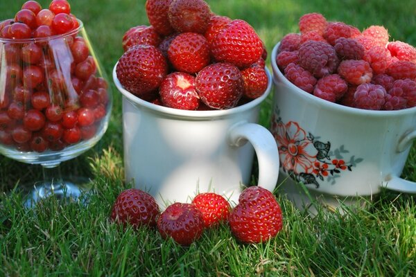 Die Früchte sind jetzt bei der Großmutter im Garten gefallen