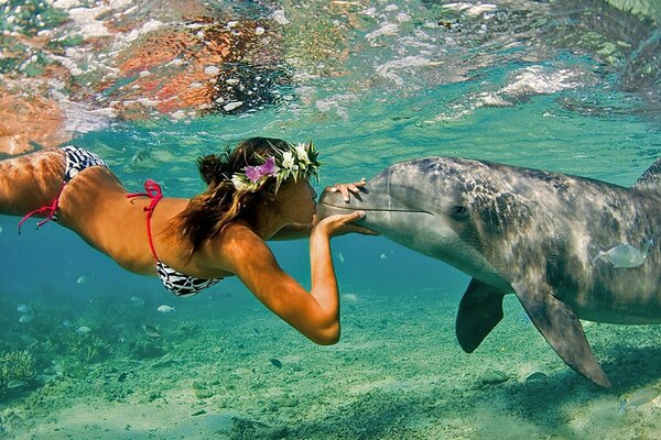 Meeting in the sea with a dolphin