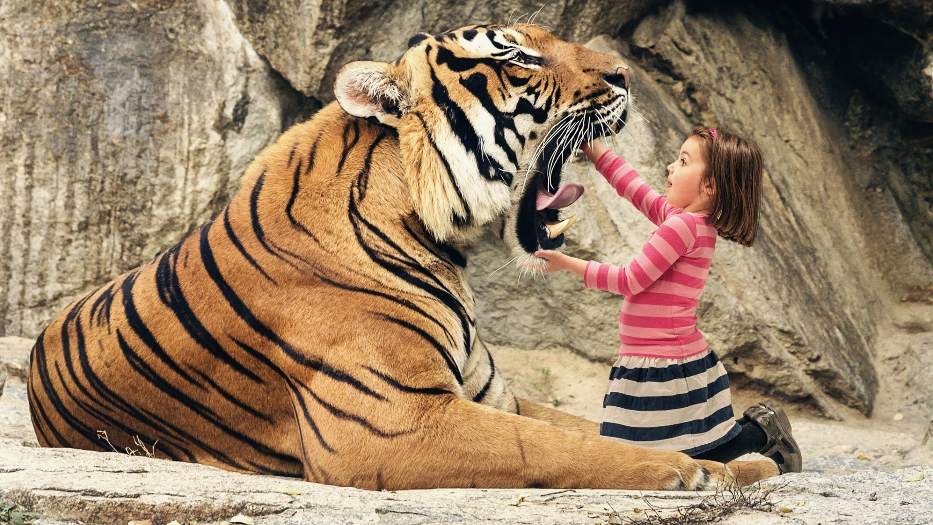 crianças com animais tigre jardim zoológico gato vida selvagem animal mamífero grande natureza selvagem retrato faixa perigo safari cabeça selva predador caçador