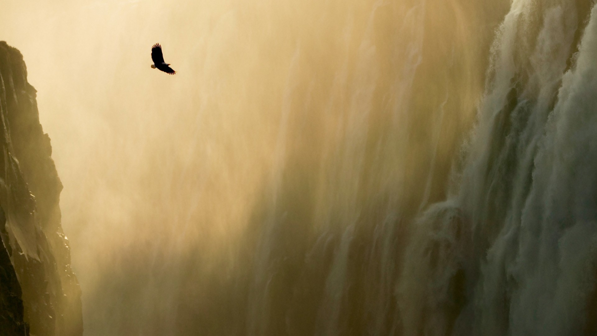 cascades coucher de soleil flou paysage abstraite oiseau art nature à l extérieur aube eau