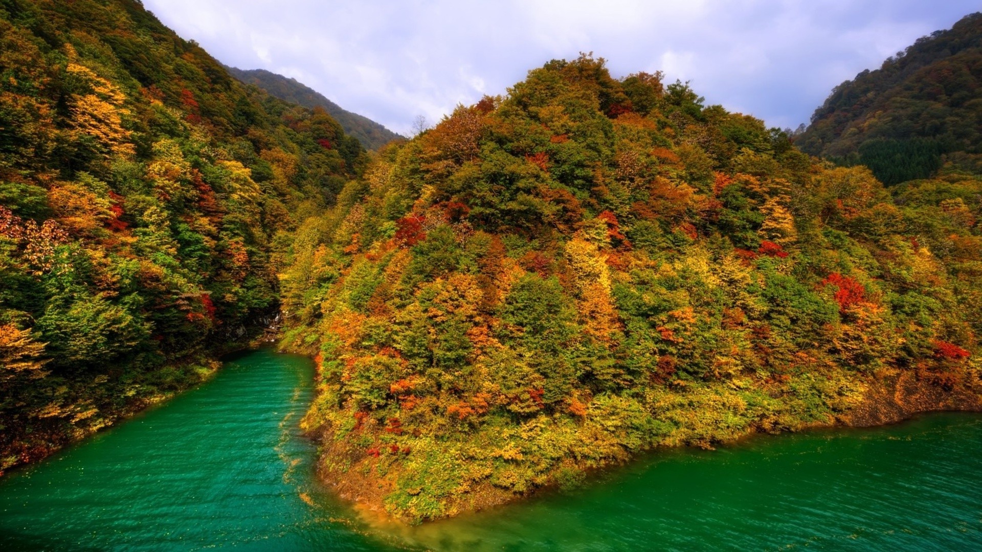 flüsse teiche und bäche teiche und bäche wasser reisen natur landschaft baum berge insel meer landschaftlich tropisch im freien holz tageslicht herbst idylle