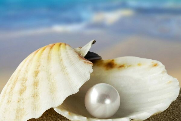 Perles sur la plage nature eau