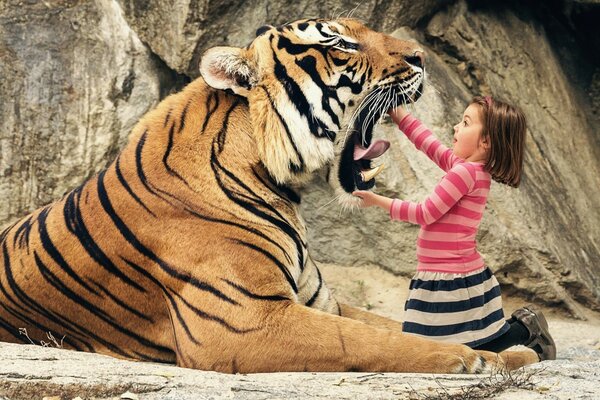 Mädchen berührt den Mund eines Tigers