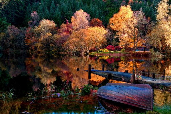 Schönes Foto der herbstlichen Natur