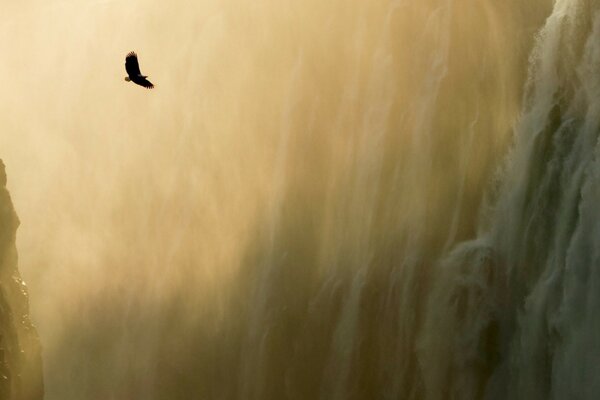 Ein Adler fliegt im Nebel über den Abgrund