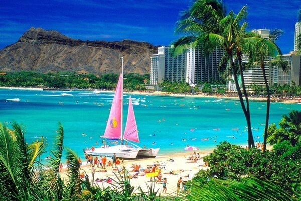 Beach and pink yacht sails