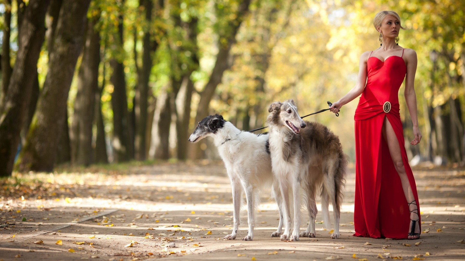 animali ritratto all aperto natura cane giovane ragazza uno