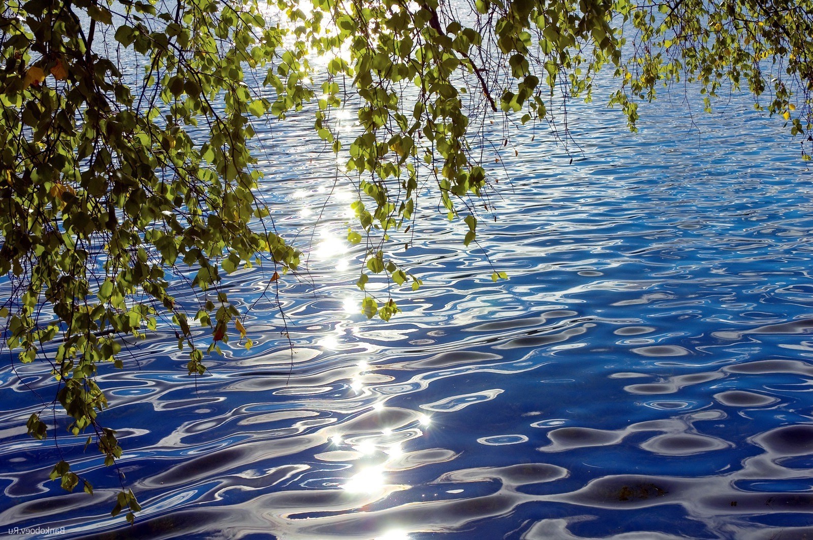 lago agua naturaleza reflexión árbol paisaje al aire libre madera verano hoja río buen tiempo temporada piscina sangre fría flora medio ambiente cielo escritorio