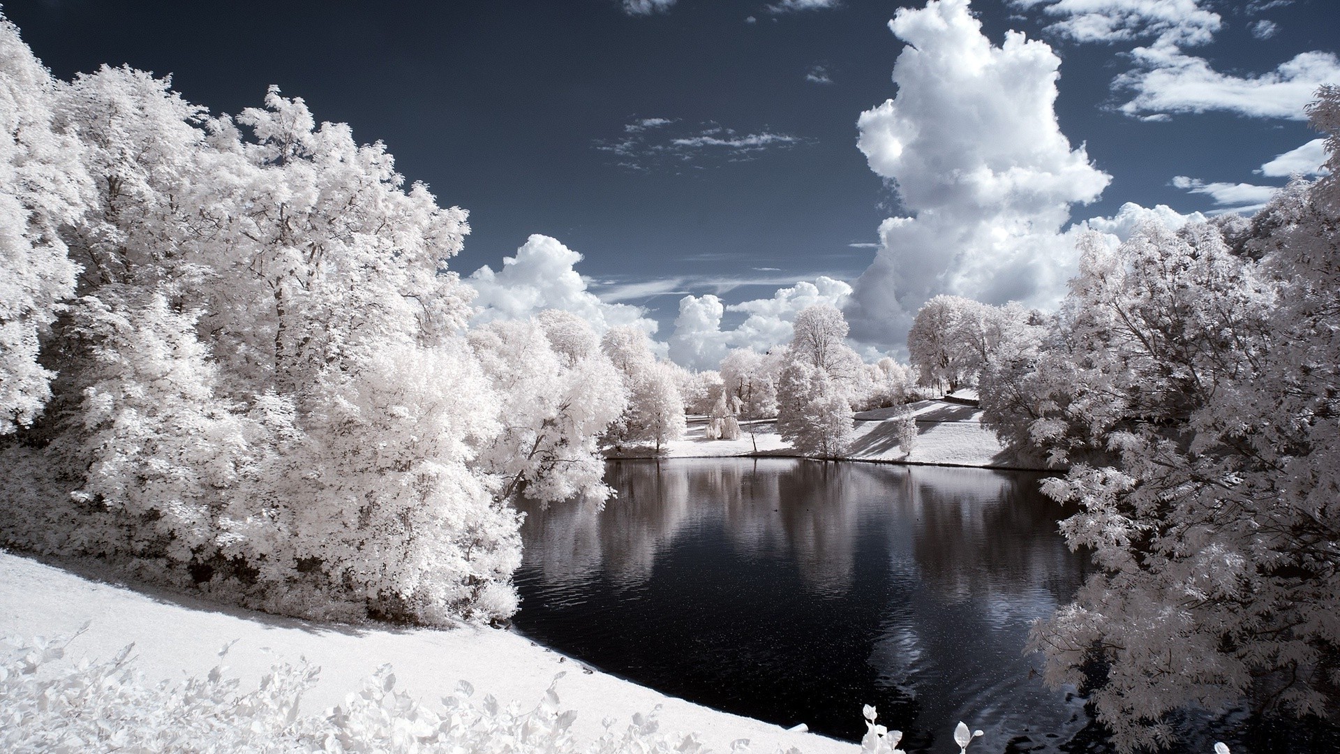 lac neige hiver gel froid congelé glace arbre paysage infrarouge saison météo bois nature neige-blanc glacial parc scénique