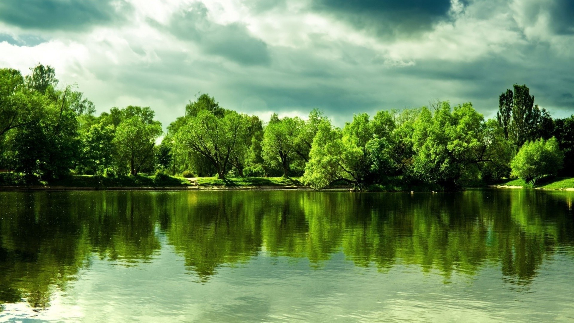 rzeki stawy i strumienie stawy i strumienie woda natura lato drzewo jezioro rzeka niebo tropikalny na zewnątrz odbicie chłód drewno dobra pogoda krajobraz liść idylla podróże trawa chmura