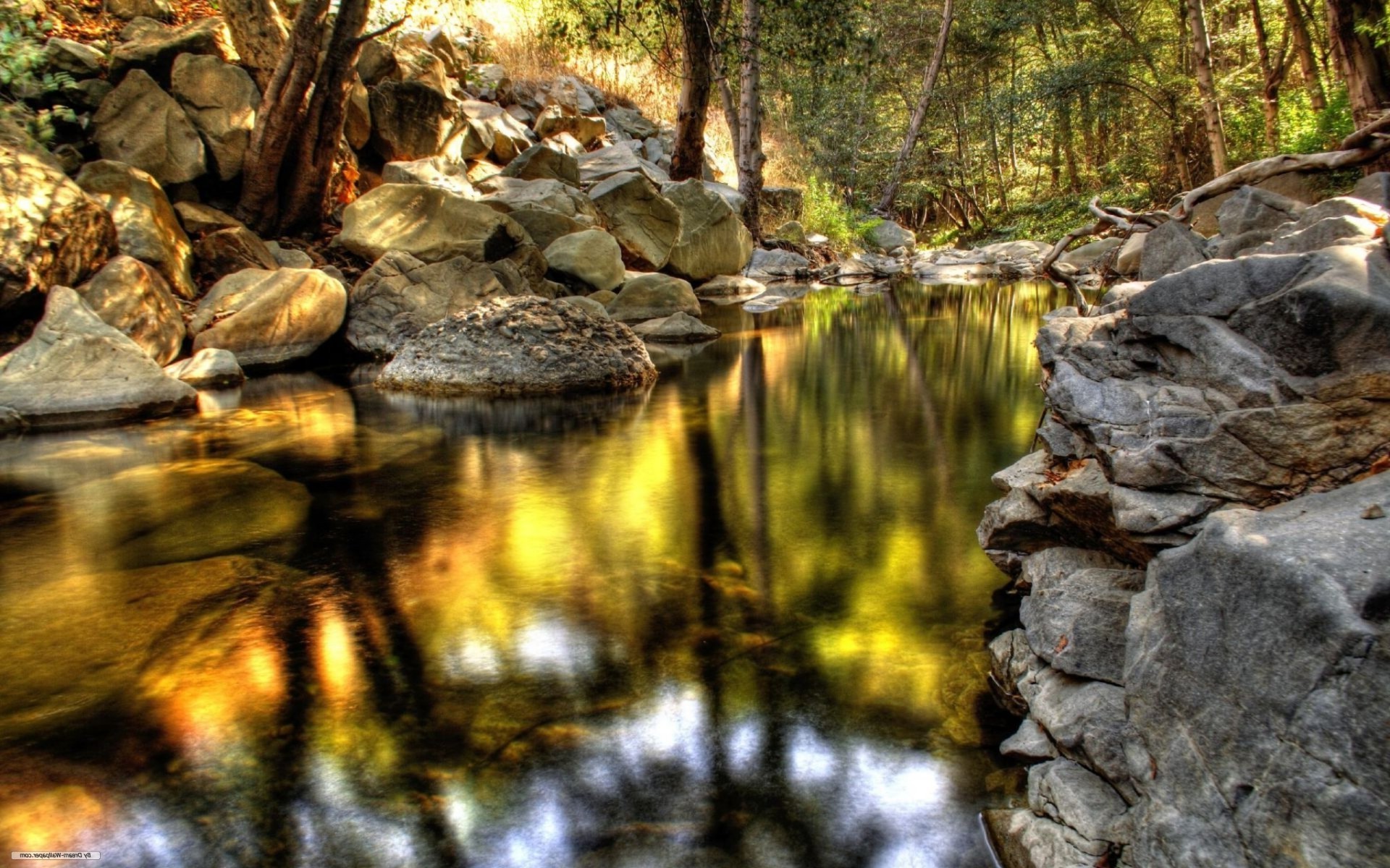 flüsse teiche und bäche teiche und bäche wasser natur fluss holz holz fluss rock im freien landschaft reisen umwelt schrei park herbst stein wasserfall fluss blatt nass