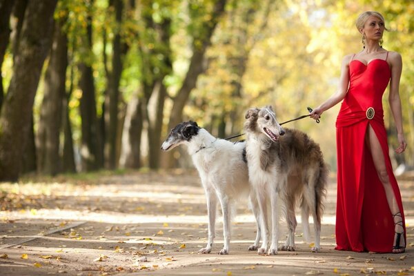 Köpeklerle kırmızı elbiseli bir kızın fotoğrafı