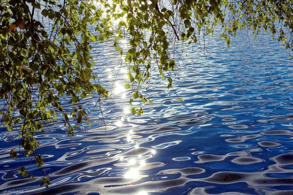 Hermosa naturaleza. Los rayos del sol en el agua