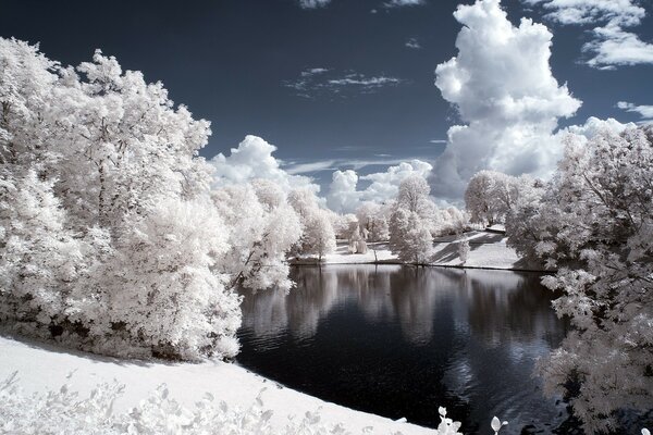 Snowy winter silver fairy tale by a cold lake