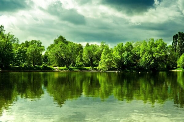 Reflection of the green forest in the stagnant water of the pond