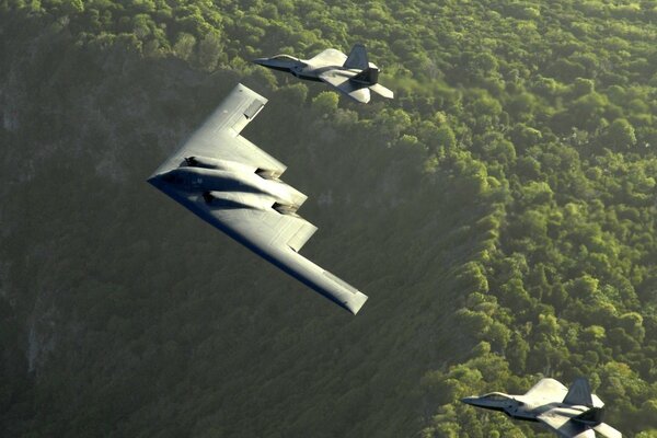 Aviones a reacción sobre el bosque verde