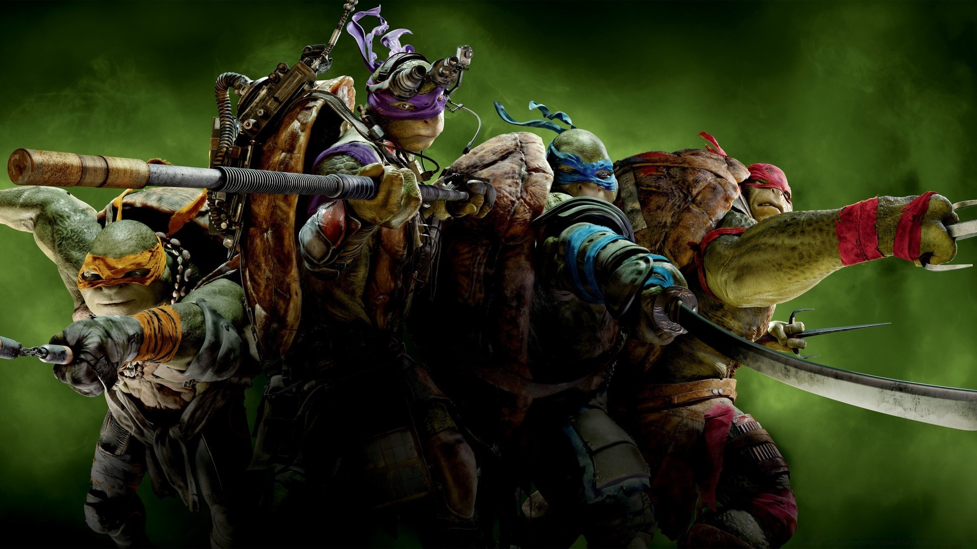 ninja turtles uomo adulto gruppo