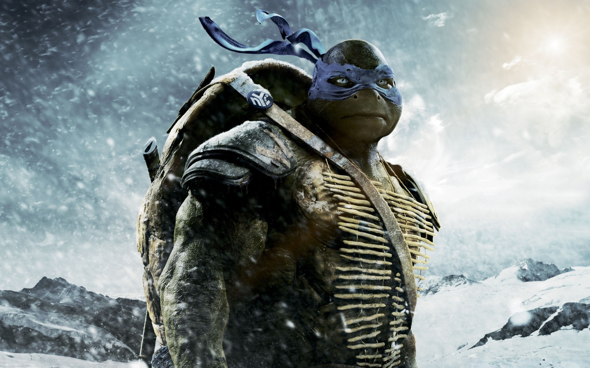 ninja turtles seyahat heykel kar heykel doğa gökyüzü kış soğuk açık havada