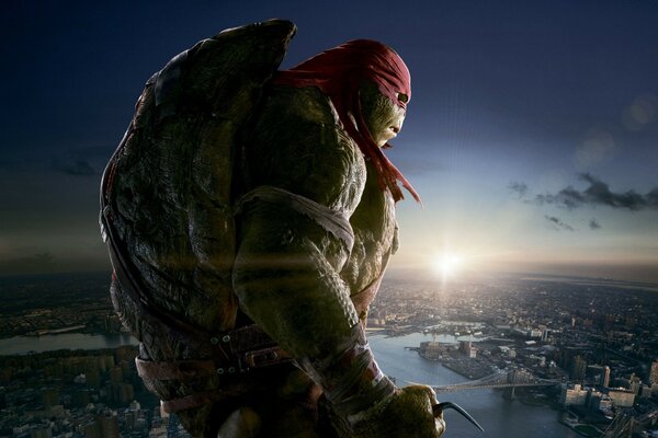 A teenage mutant ninja turtle looks at the sunset