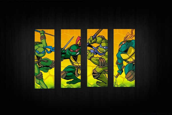 A picture of turtles from the movie ninja