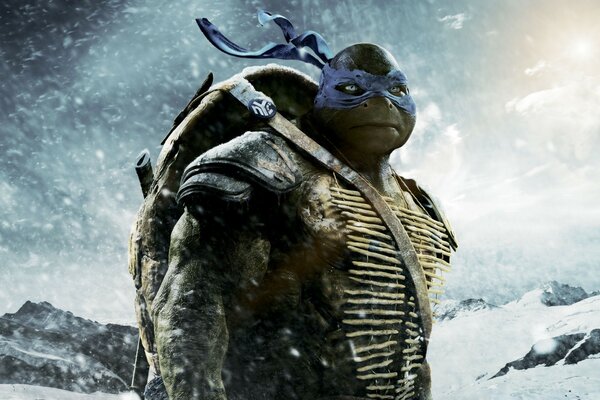 Ninja turtle on the background of snowy mountains