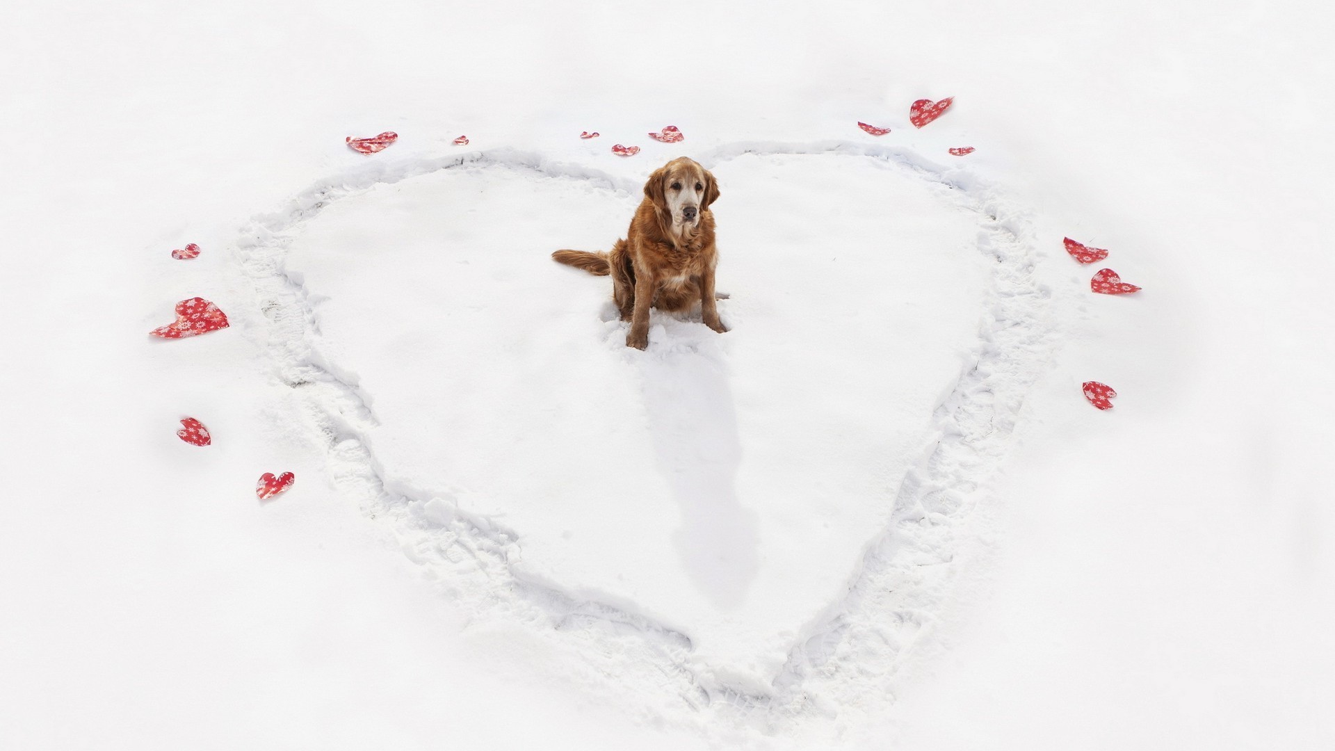 amor y romance nieve invierno solo placer frío al aire libre