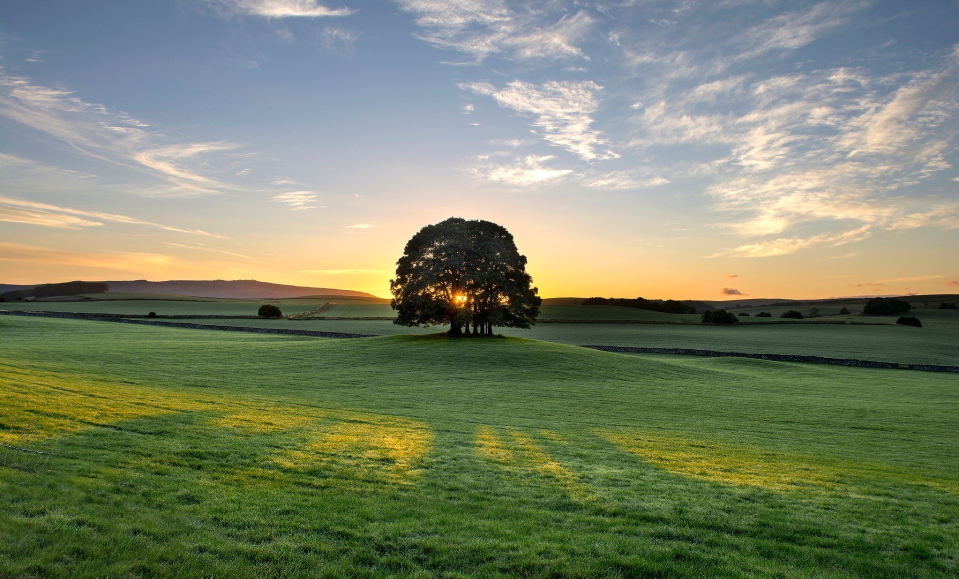 trees nature landscape grass rural sky sun summer countryside fair weather sunset field dawn hayfield outdoors cloud pasture agriculture horizon bright