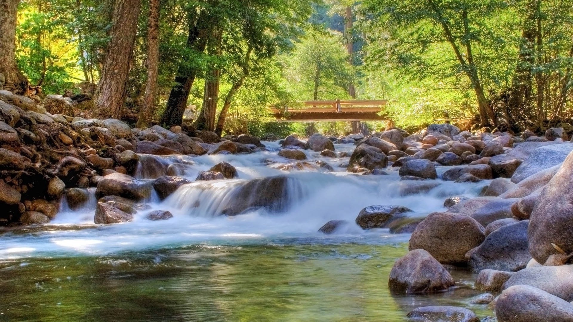 rivers ponds and streams water stream nature waterfall river rock wood outdoors motion flow wet fall cascade landscape leaf wild creek tree environment