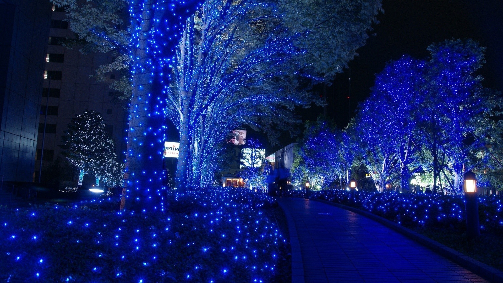 cidade retroiluminado luz natal noite borrão escuro feriado viajar inverno