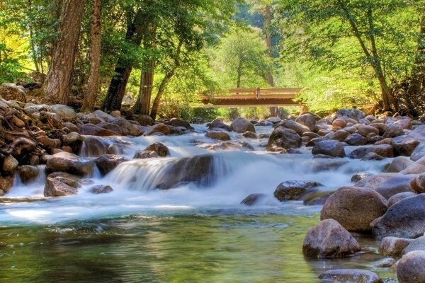 Ein Fluss im Wald läuft über Steine