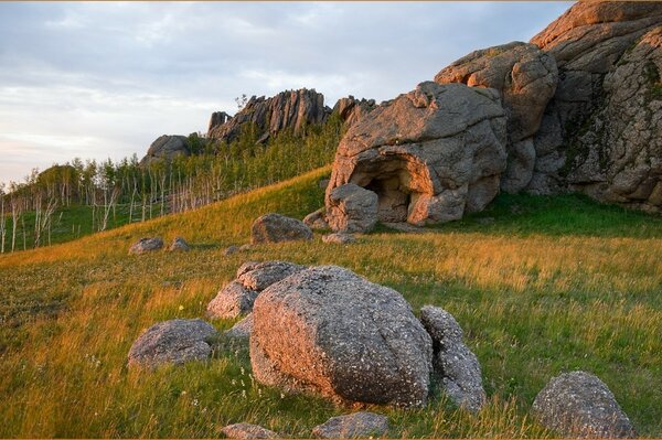 Rochers sur l herbe verte