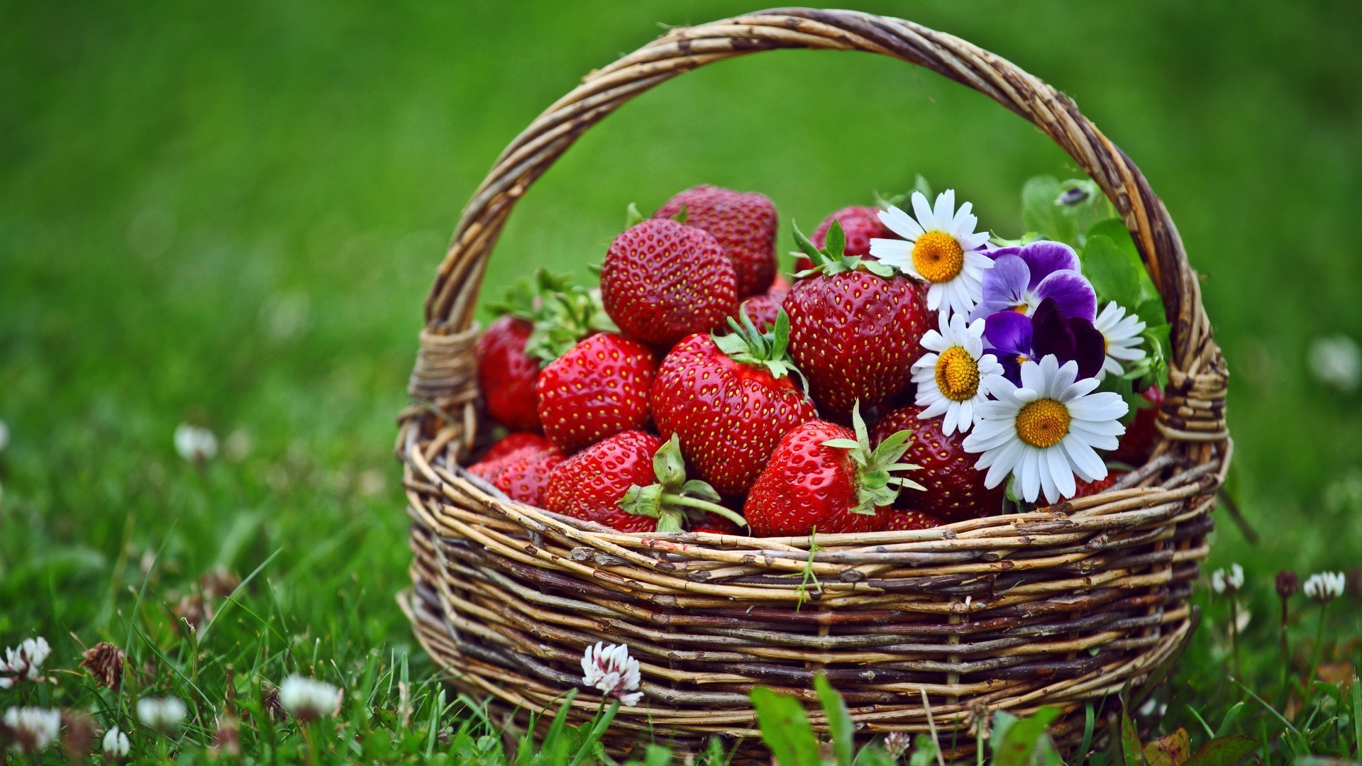 bagas cesta vime comida frutas natureza jardim pasto close-up verão pastelaria frescura saudável baga desktop morango