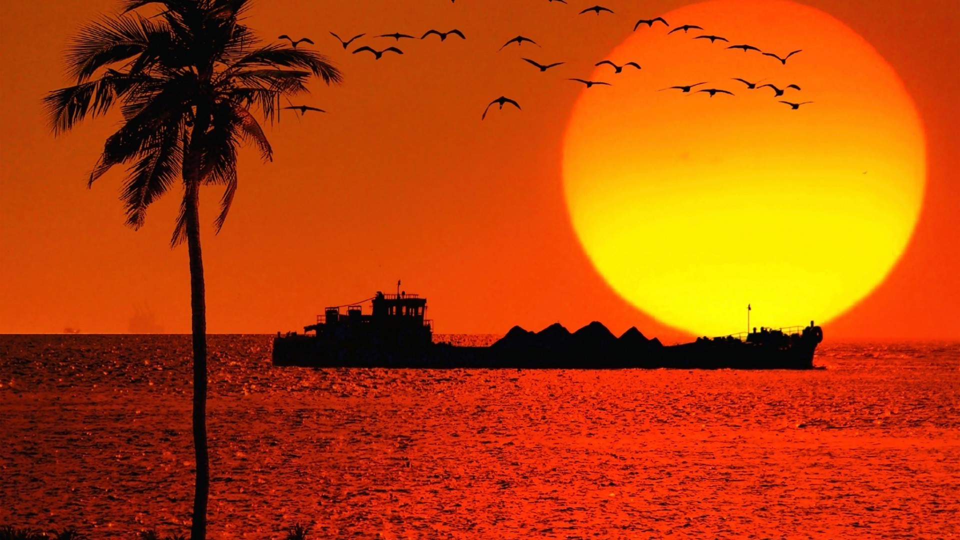 pôr do sol e amanhecer pôr do sol sol praia amanhecer oceano noite silhueta mar areia mar tropical crepúsculo céu natureza verão água paisagem bom tempo