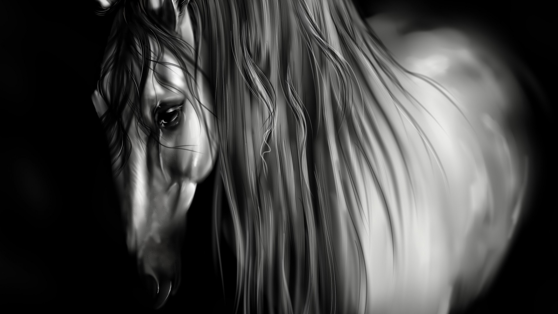 cavallo in bianco e nero arte astratto bianco e nero scuro luce ritratto fantasia nudo ragazza mono fumo desktop fantasma