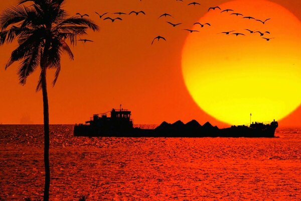 Sonnenuntergang am Meer am Strand im Hintergrund