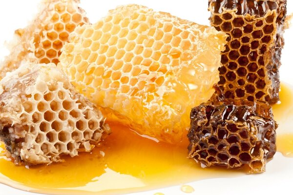 Juicy and fresh honeycomb