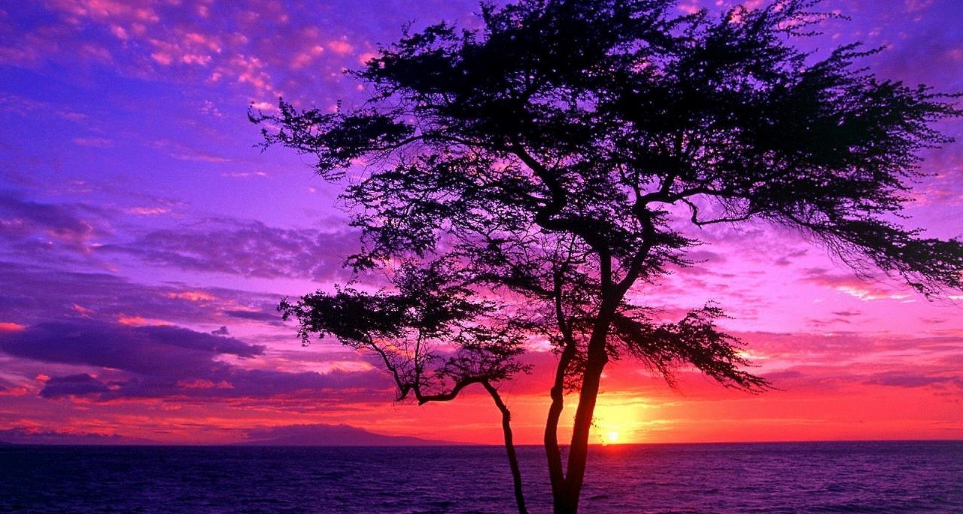 the sunset and sunrise sunset dawn landscape water sun evening nature sea sky summer ocean dusk scenic