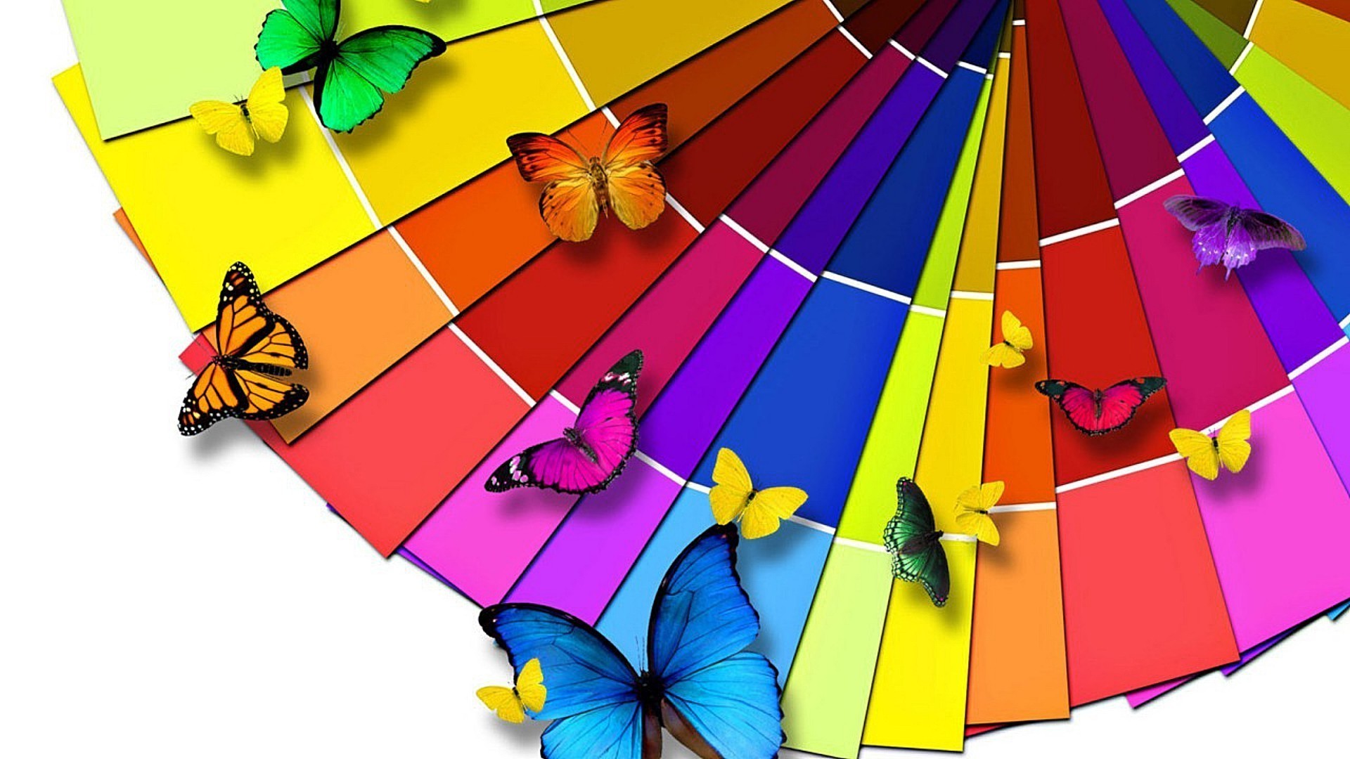 bright colors paper umbrella motley color fun