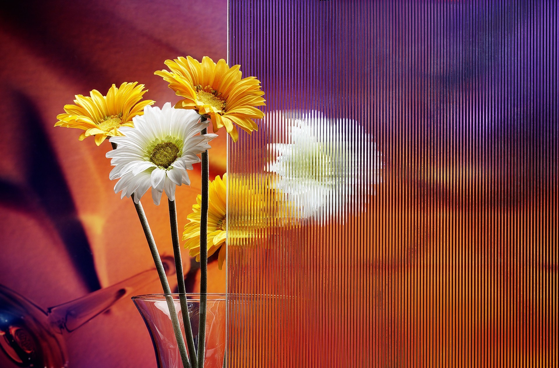 kamille blume hell natur sommer farbe desktop schön abstrakt