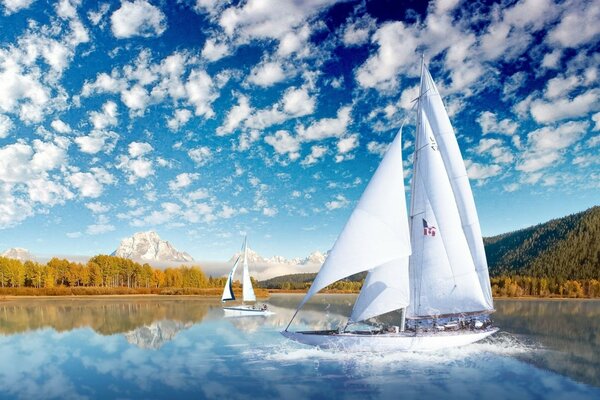 Voiles blanches sur l eau et le ciel bleu