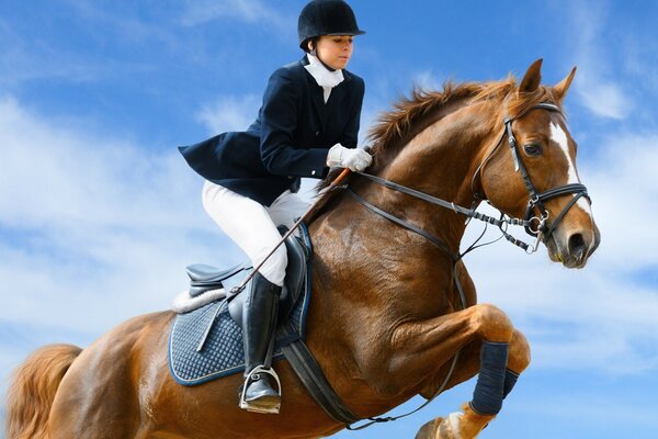 Alla vittoria nella vita su un cavallo da Baio