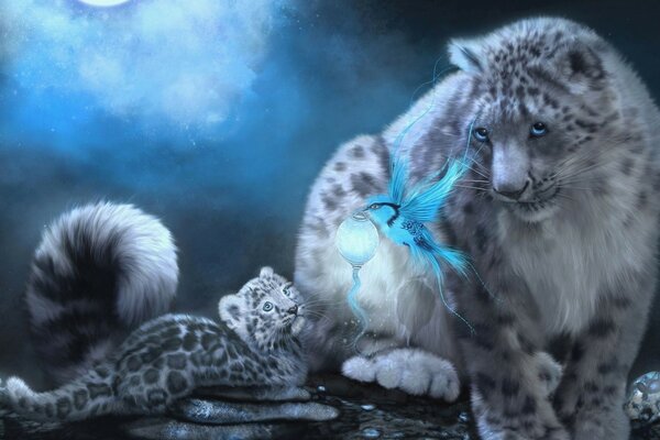 Dzika przyroda. Snow Leopard