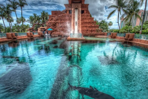 Ancien tremplin dans la piscine avec des requins