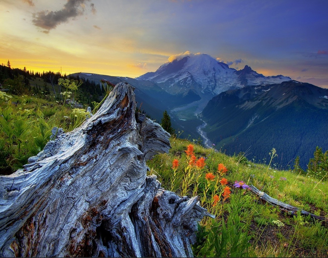 góry góry krajobraz natura niebo podróże na zewnątrz malownicze drewno rock śnieg szczyt górski dolina drzewo trawa światło dzienne pinnacle lato chmura piesze wycieczki