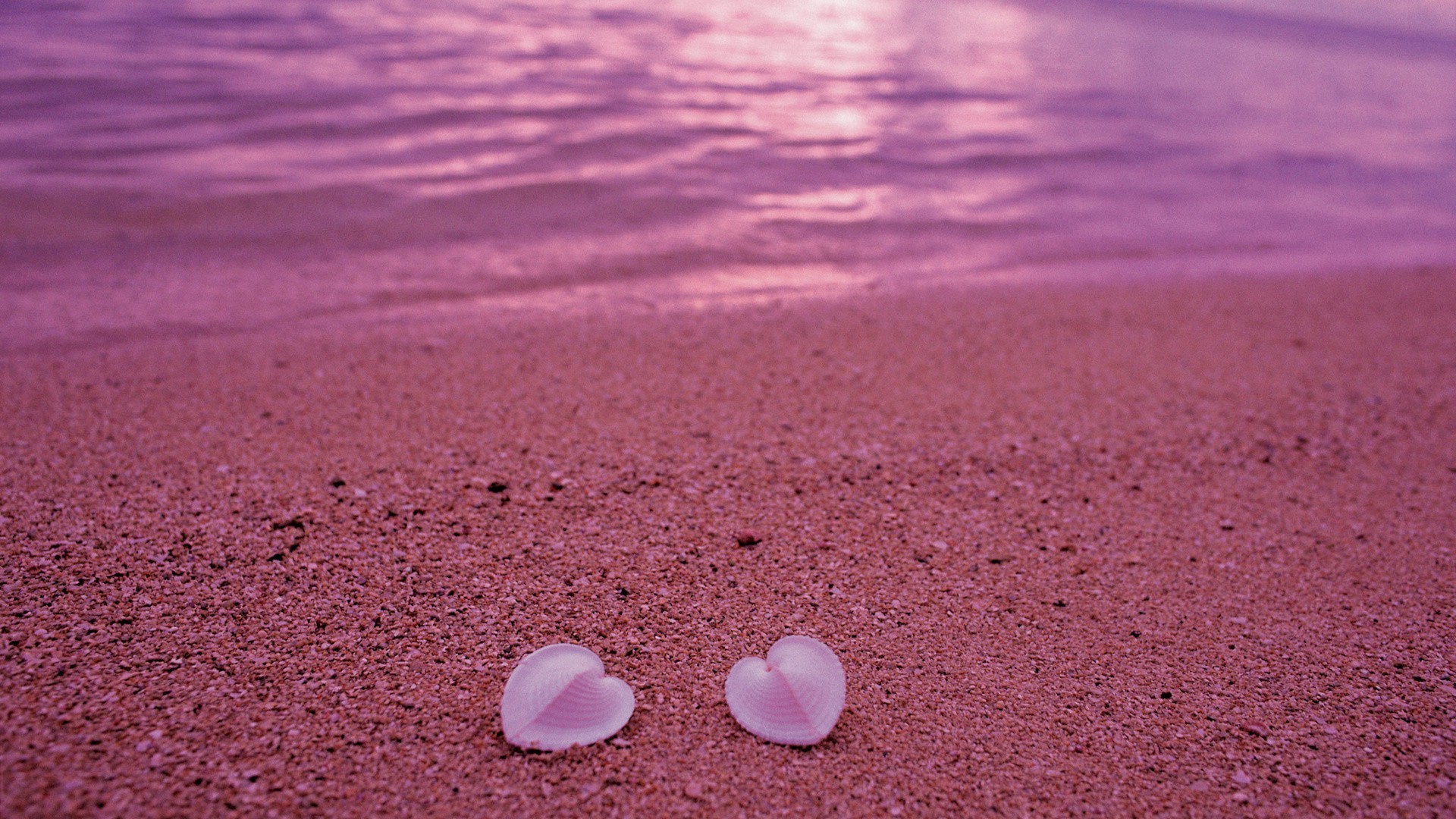 corações praia areia mar mar verão água oceano costa natureza férias conchas concha viagem desktop tropical costa fuzileiro naval onda