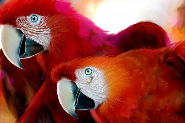 Two bright macaw parrots