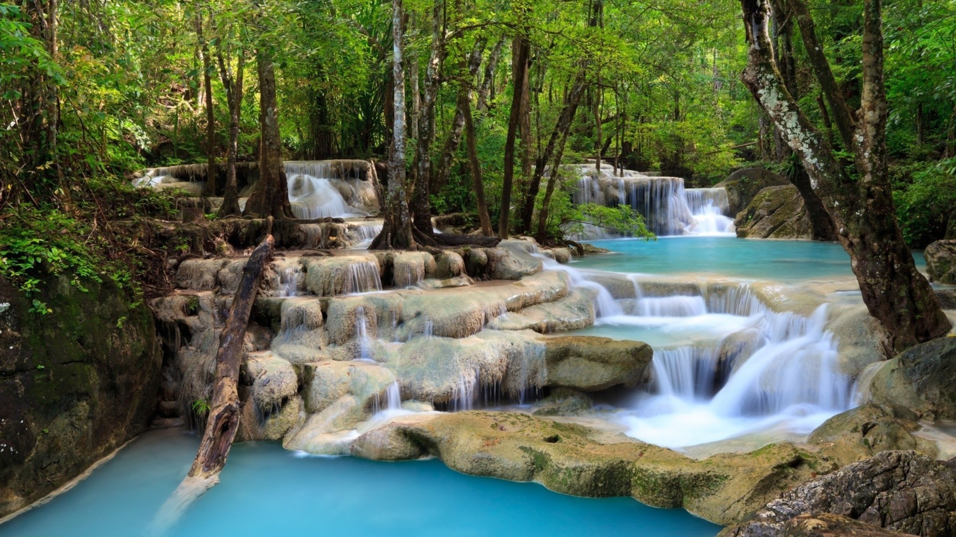 waterfalls water waterfall wood nature stream river cascade creek travel leaf rock wild flow landscape outdoors tree summer wet environment